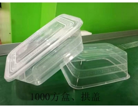 注塑盒（1000方盒、拱蓋）-長(cháng)沙注塑廠(chǎng)